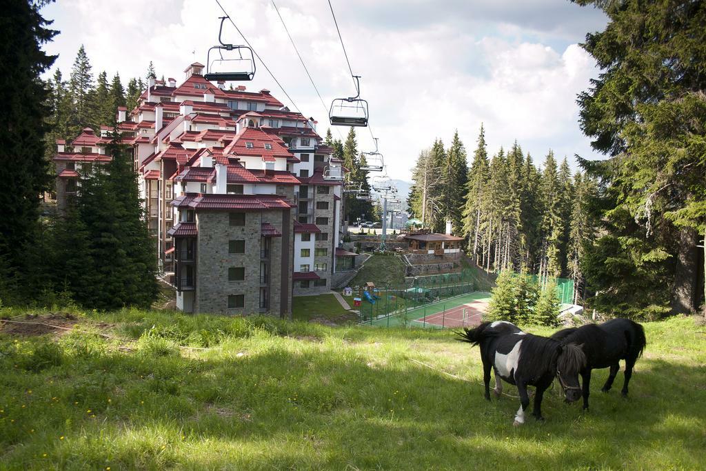 Complex Kamelia Aparthotel Pamporovo Exterior photo